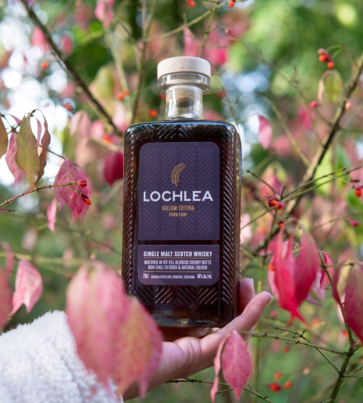 Lochlea Distillery • Fallow Edition 3rd Crop Single Malt Scotch Whisky