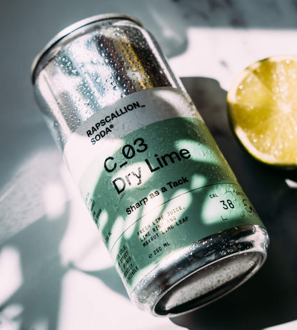 Rapscallion Soda • Dry Lime